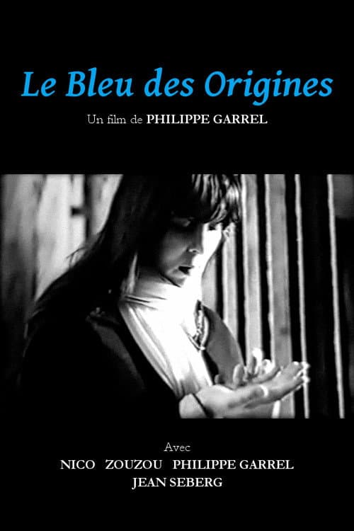 Le Bleu des origines (1979) poster