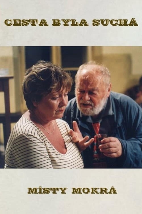 Cesta byla suchá, místy mokrá (2003) poster