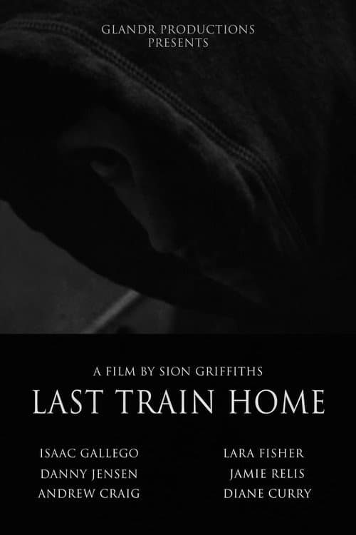 Last Train Home (2008) poster