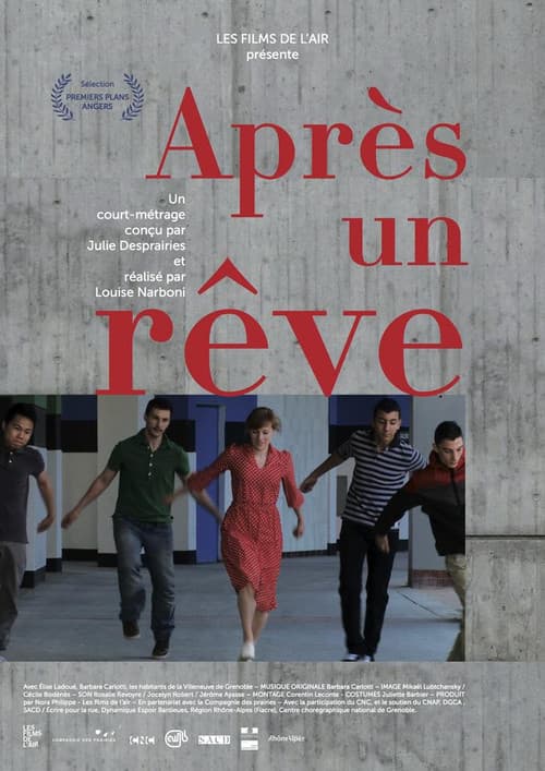 Après un rêve (2013) poster