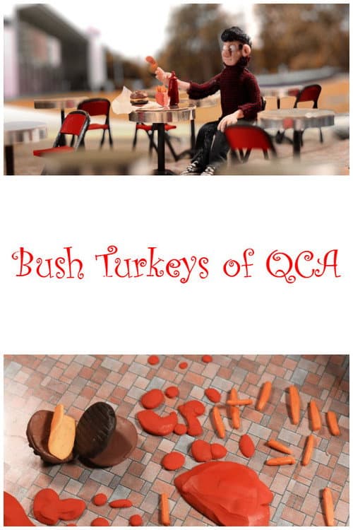 Bush Turkeys of QCA (2015) poster