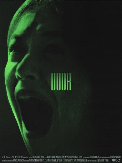 Door (2025) poster