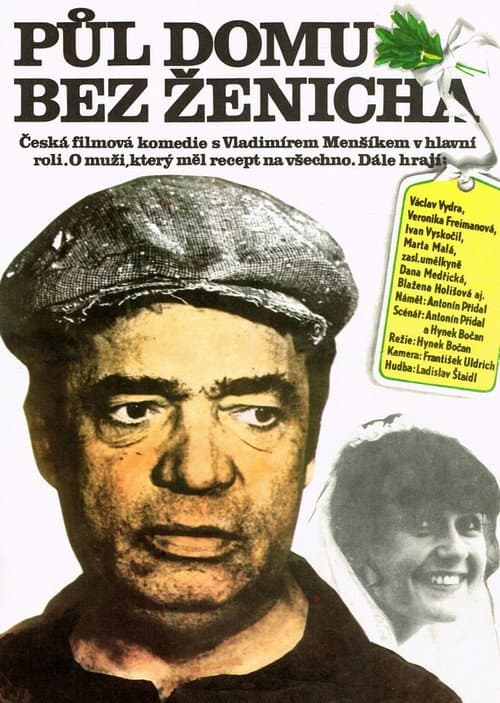 Půl domu bez ženicha (1981) poster
