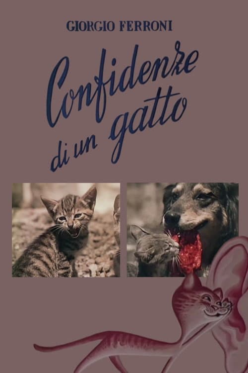 Confidenze di un gatto (1953) poster
