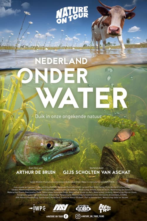 Nederland onder water (2022) poster