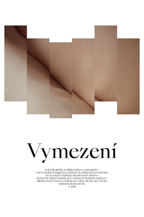Vymezení (2021) poster