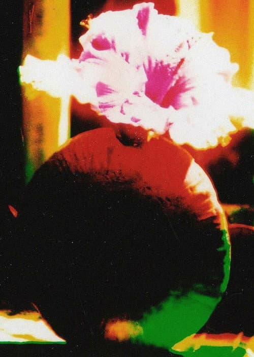 De kamer van het chromatische mysterie (2006) poster
