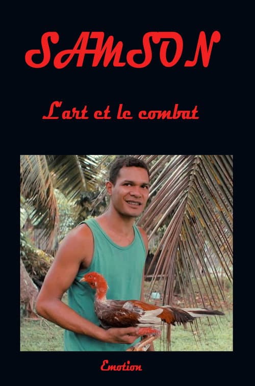 Samson l'art et le combat (2017) poster