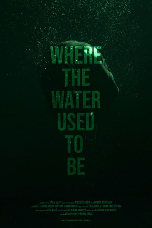 Where the Water Used to Be (2026) poster