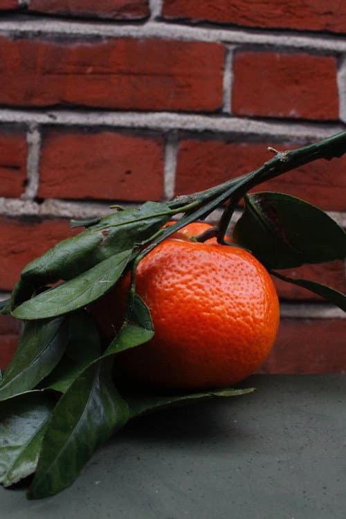 Orange Peel (2026) poster