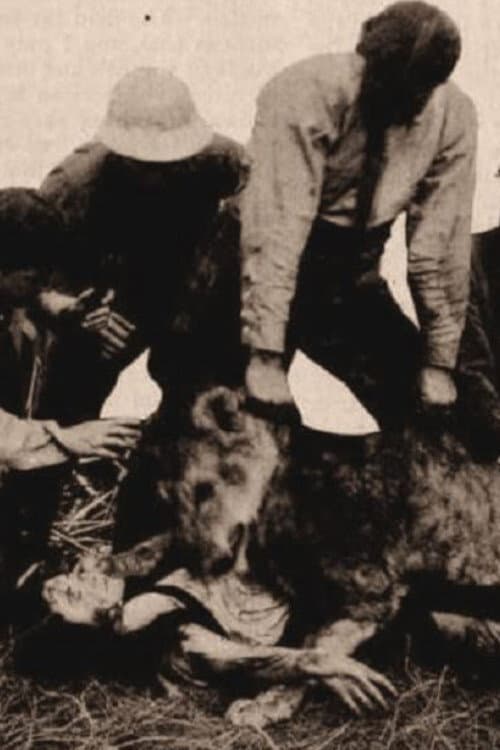 Alone in the Jungle (1913) poster