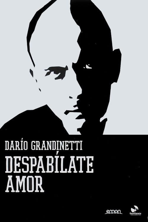Despabílate amor (1996) poster