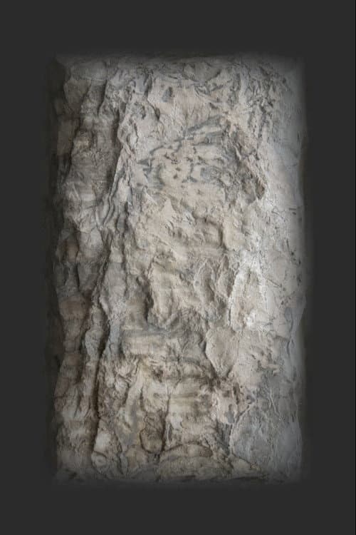 Dream (2021) poster