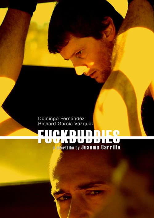 Fuckbuddies (2011) poster