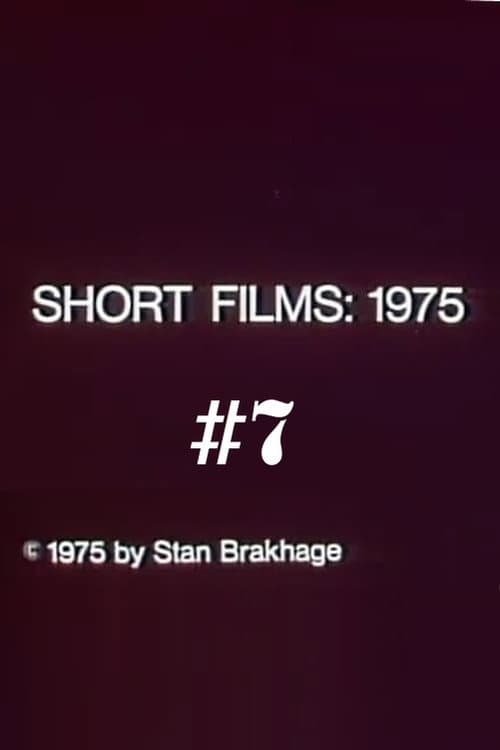 Short Films 1975: #7 (Turning the Raccoon Loose) (1975) poster