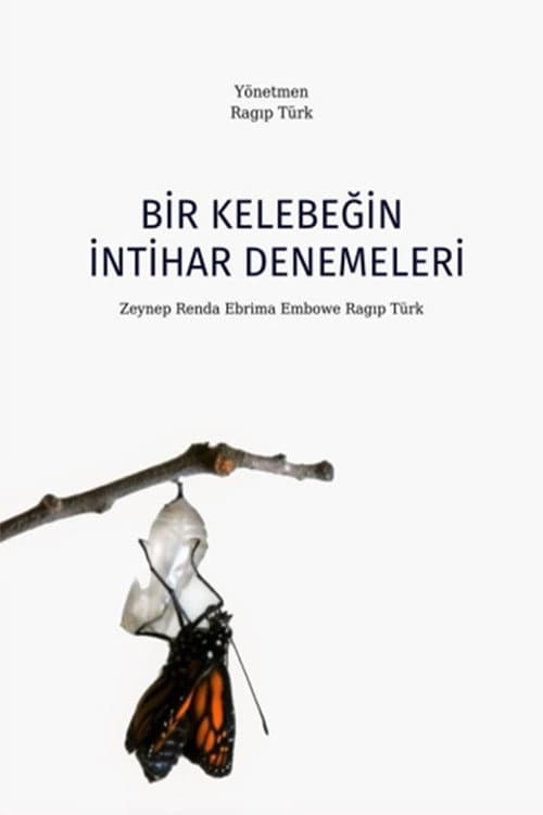 Bir Kelebeğin İntihar Denemeleri (2012) poster