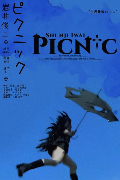 PiCNiC (1996) poster