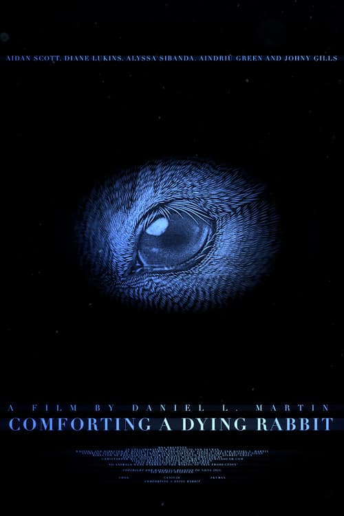 Comforting A Dying Rabbit (2024) poster