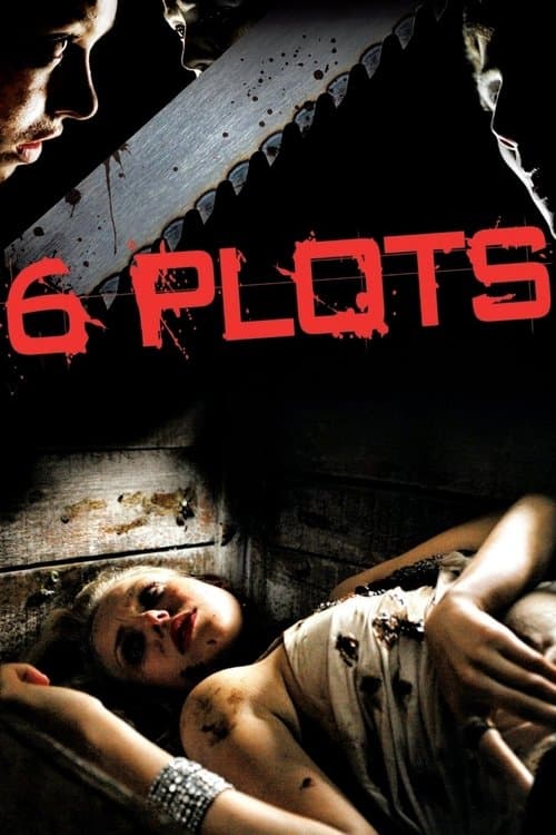 6 Plots (2011) poster