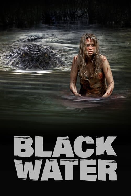 Black Water (2008) poster