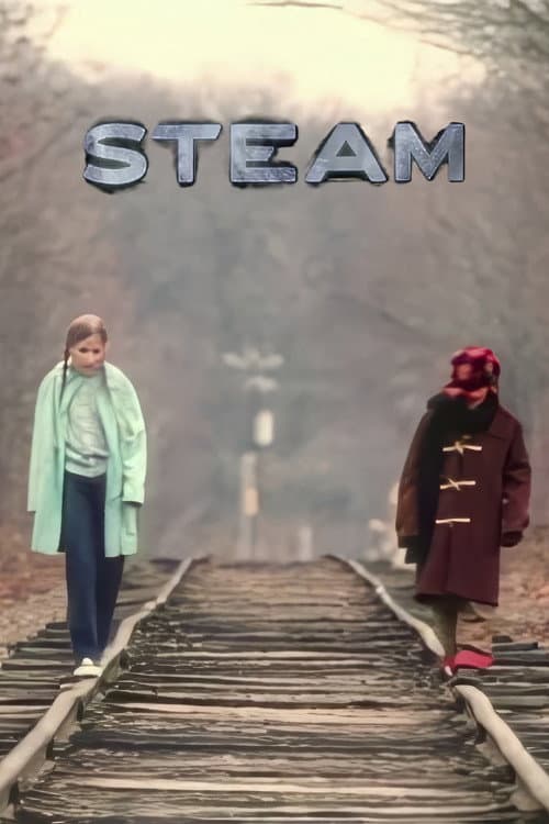 Stoom (1995) poster