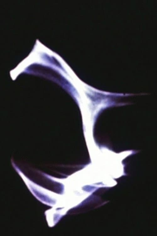Light Reflections (1949) poster
