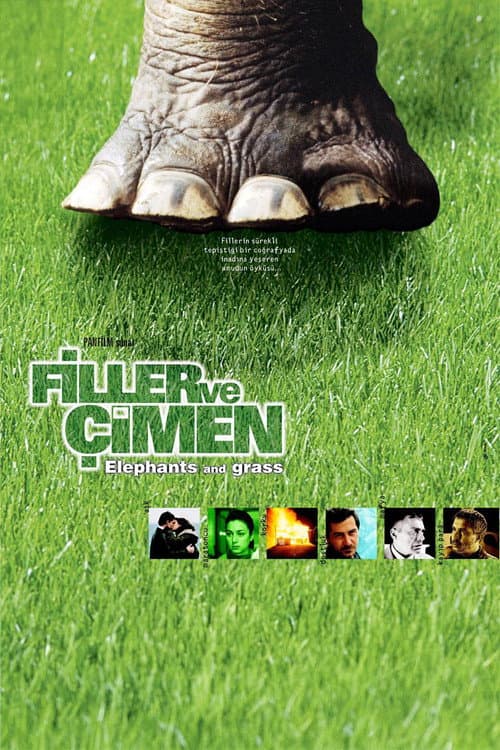 Filler ve Çimen (2000) poster