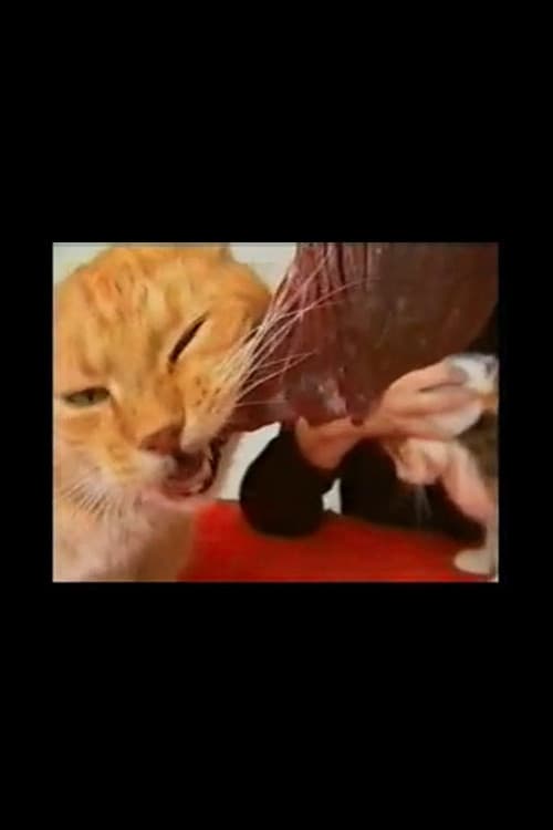 Voracious Cats (1994) poster