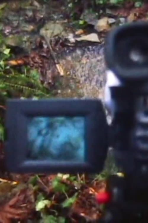 REMOTE VIEWING (2019) poster
