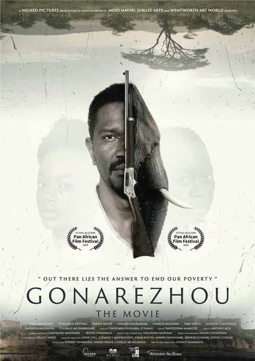 Gonarezhou: The Movie (2020) poster