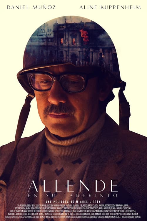 Allende en su laberinto (2014) poster