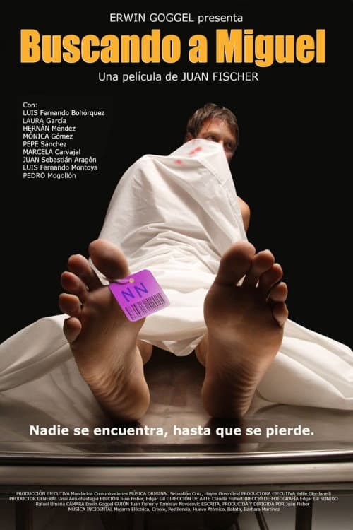 Buscando a Miguel (2007) poster