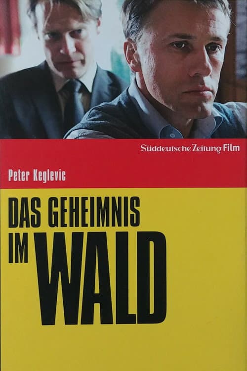 Das Geheimnis im Wald (2008) poster