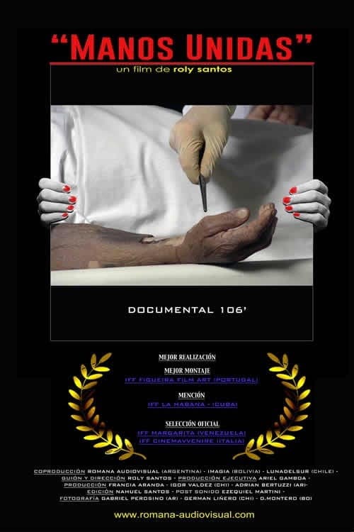Manos Unidas (2014) poster