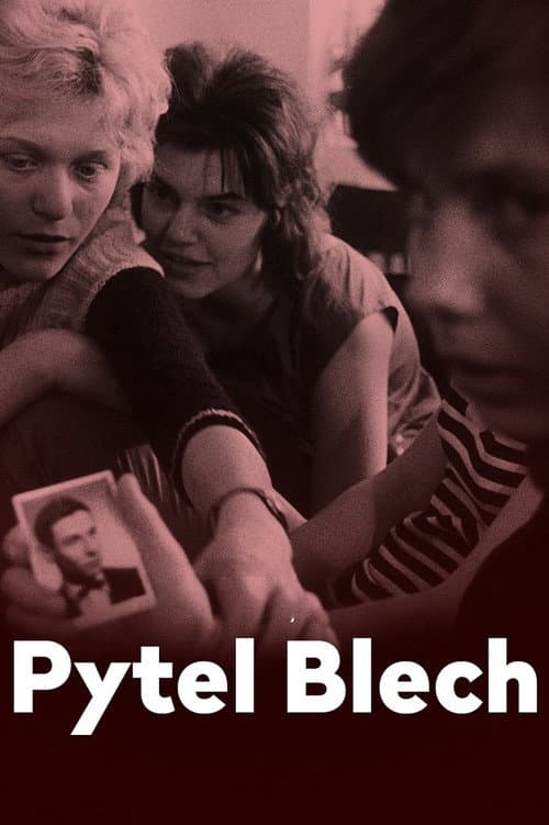 Pytel blech (1963) poster