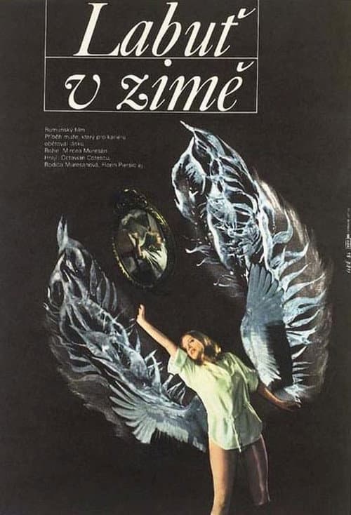 O lebădă iarna (1983) poster