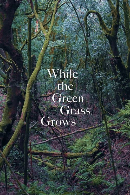 While the Green Grass Grows (2025) poster