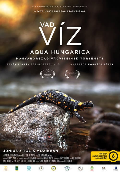 Vad víz – Aqua Hungarica (2021) poster