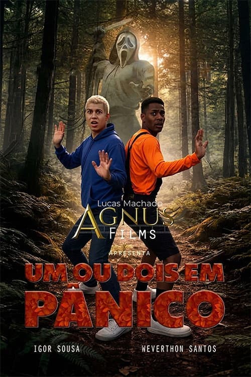 Um ou Dois em Pânico (2026) poster