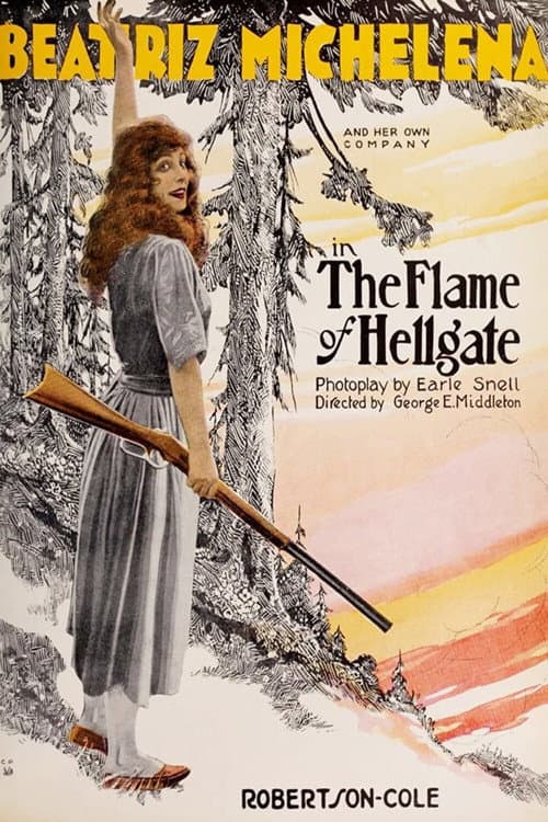The Flame of Hellgate (1920) poster