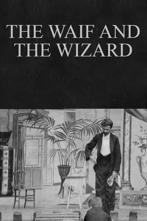 The Waif and the Wizard (1901) poster