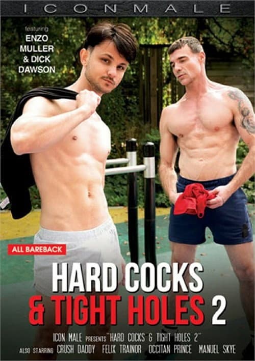 Hard Cocks & Tight Holes 2 (2026) poster