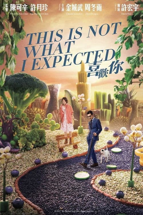 This Is Not What I Expected (2017) poster
