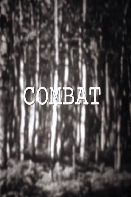 Combat (2015) poster