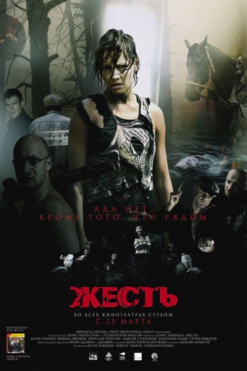 Жесть (2006) poster