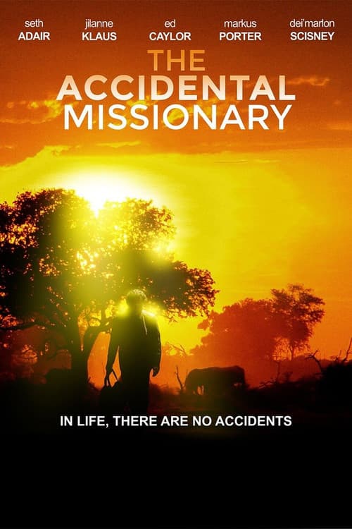 The Accidental Missionary (2015) poster