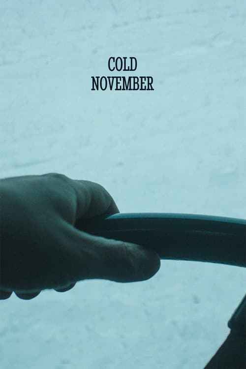 Nëntor i Ftohtë (2018) poster