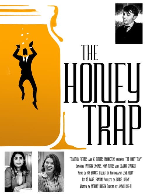 The Honey Trap () poster