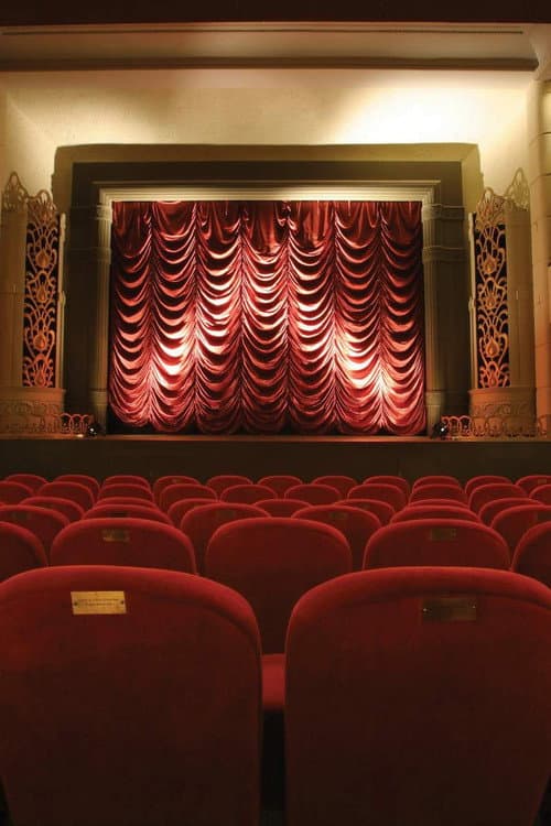 The Dream Palace: A People's History of Tyneside Cinema (2018) poster