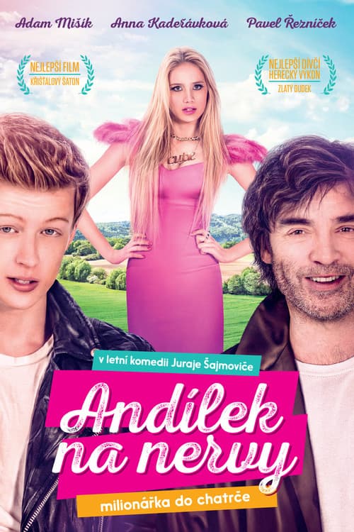 Andílek na nervy (2015) poster